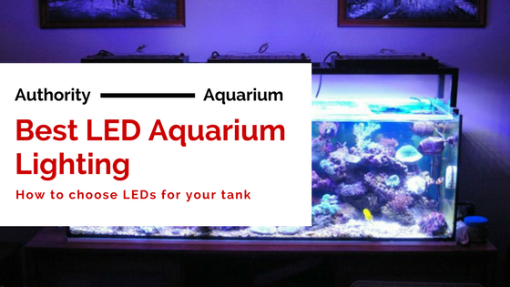 Best LED Aquarium Lighting
