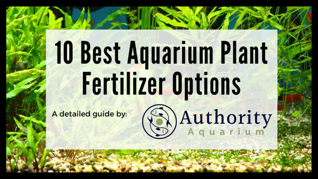 10 Best Aquarium Plant Fertilizer Options