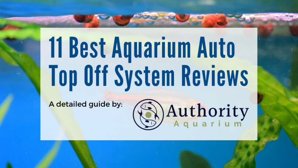 11 Best Aquarium Auto Top Off System Reviews