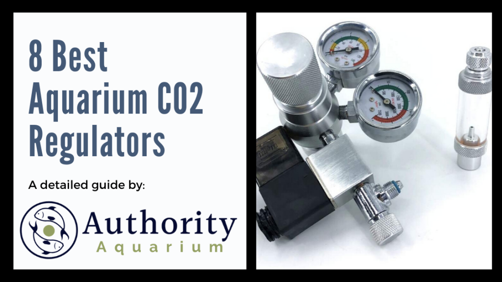 8 Best Aquarium CO2 Regulators