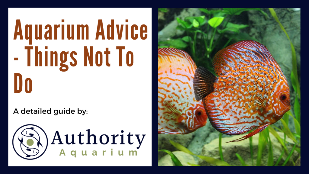 Aquarium Advice - Things Not To Do