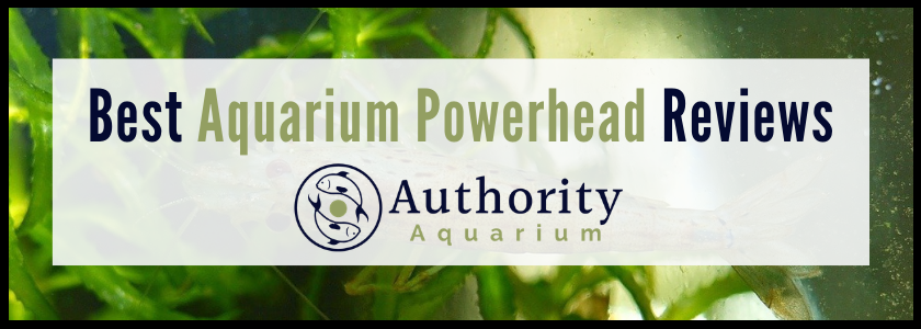 Best Aquarium Powerhead Reviews