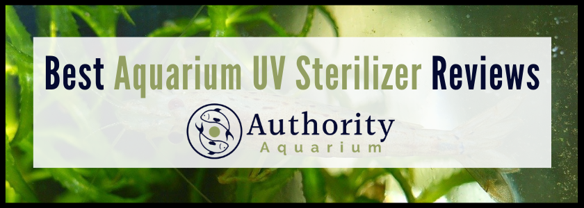 Best Aquarium UV Sterilizer Reviews