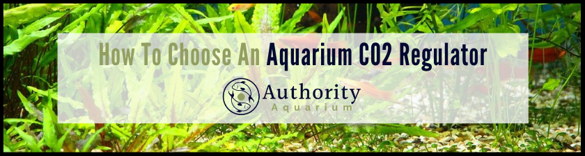 How To Choose An Aquarium CO2 Regulator