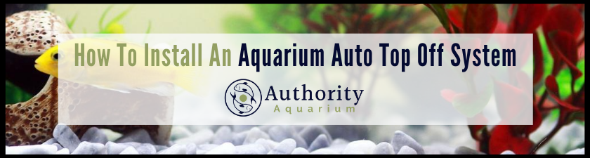How To Install An Aquarium Auto Top Off System