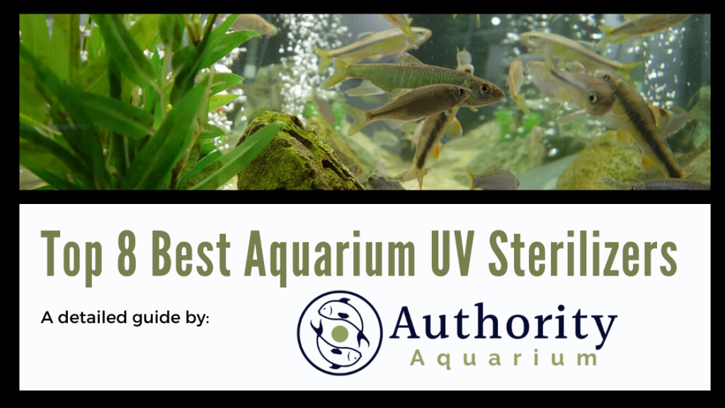 Top 8 Best Aquarium UV Sterilizers