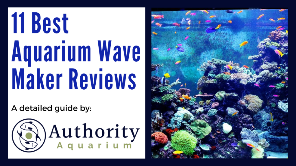 11 Best Aquarium Wave Maker Reviews