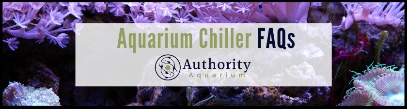Aquarium Chiller FAQs