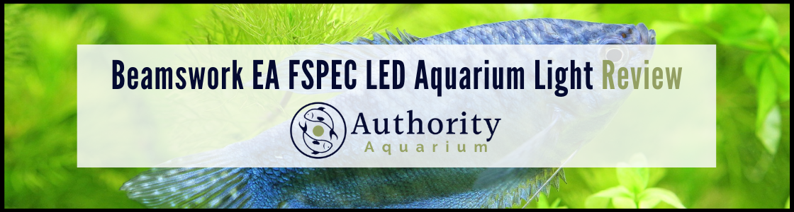 Beamswork EA FSPEC LED Aquarium Light Review