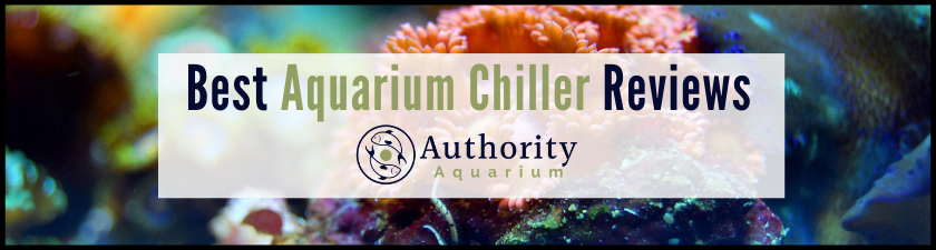 Best Aquarium Chiller Reviews