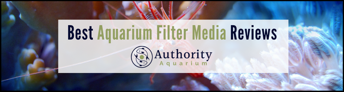 Best Aquarium Filter Media Reviews
