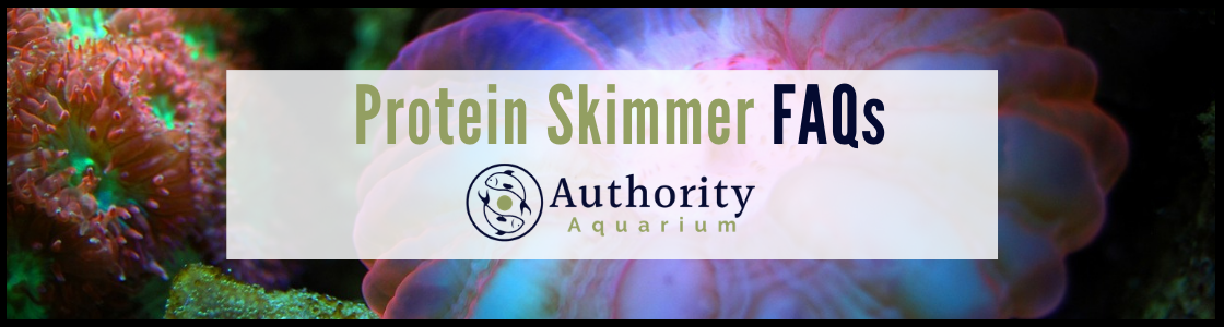 Protein Skimmer FAQs