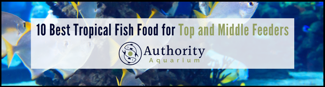 10 Best Tropical Fish Food for Top and Middle Feeders