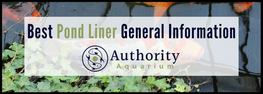 Best Pond Liner General Information
