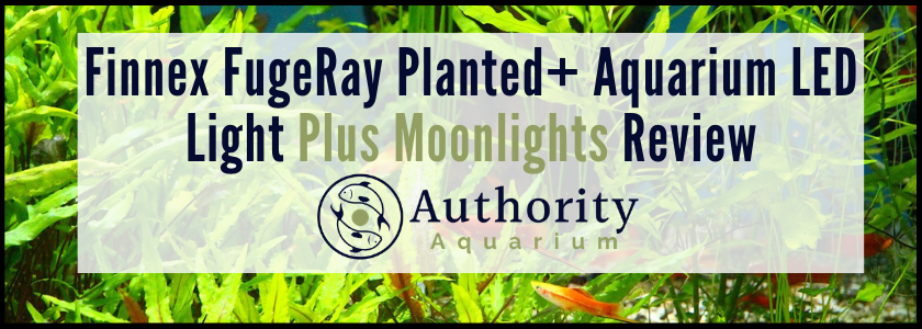 Finnex FugeRay Planted+ Aquarium LED Light Plus Moonlights Review