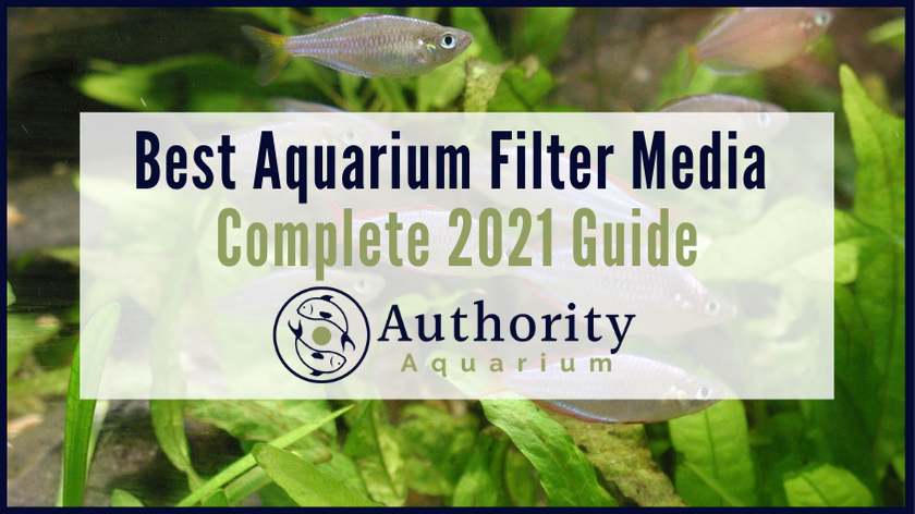 Best Aquarium Filter Media