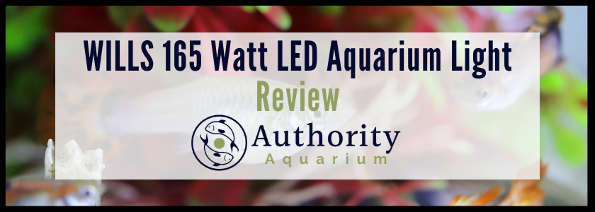 WILLS 165 Watt LED Aquarium Light Review
