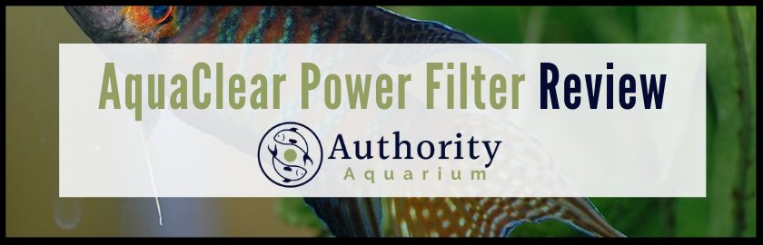 AquaClear Power Filter Review